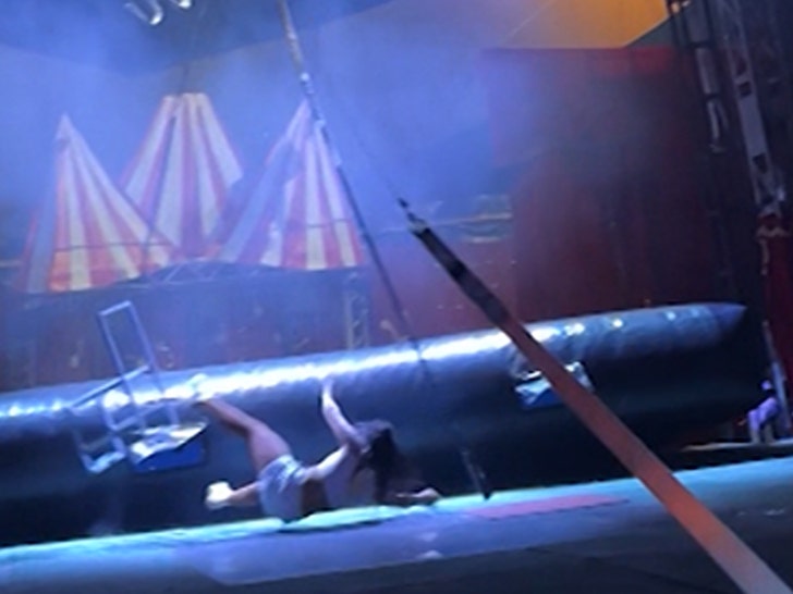 082324-circus-performer-falls-1