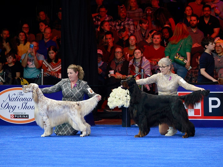 The National Dog Show Presented by Purina
