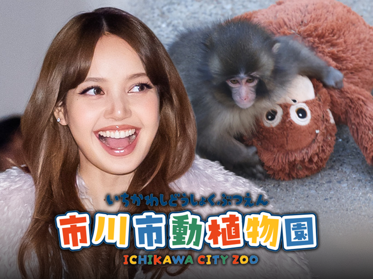 lisa blackpink punch main getty