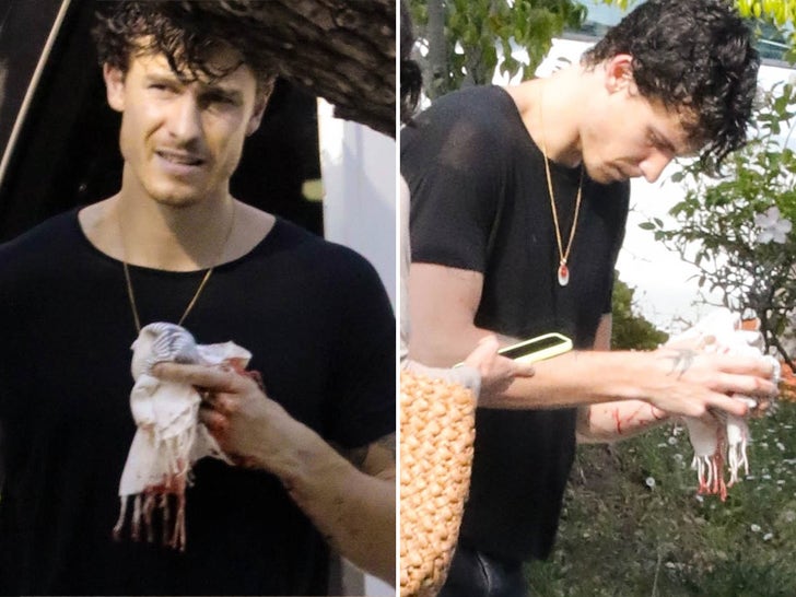 Shawn Mendes Displays Bloody Finger, Heads To Hospital