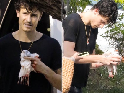 0513-Shawn-Mendes-Cut-Finger-PRIMARY