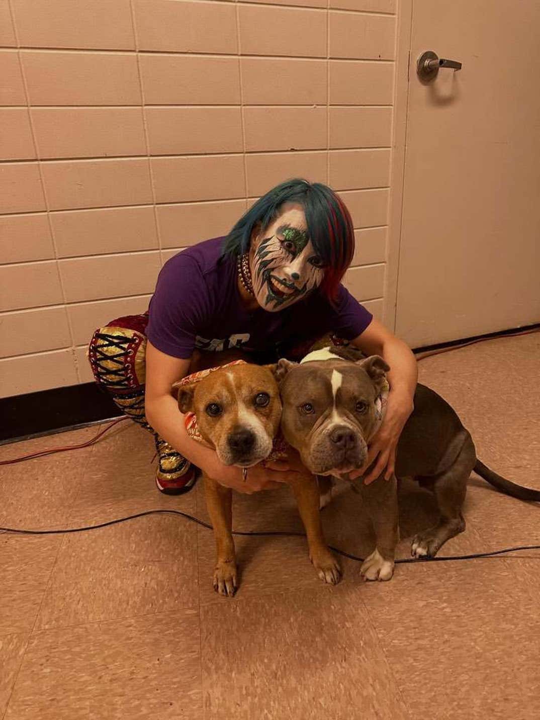 Sheamus Dog Betty 7