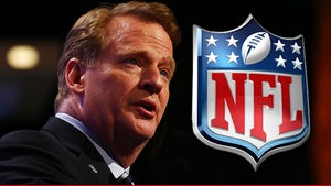 Ray Rice Scandal -- Ex-FBI Honcho to Probe NFL's Actions