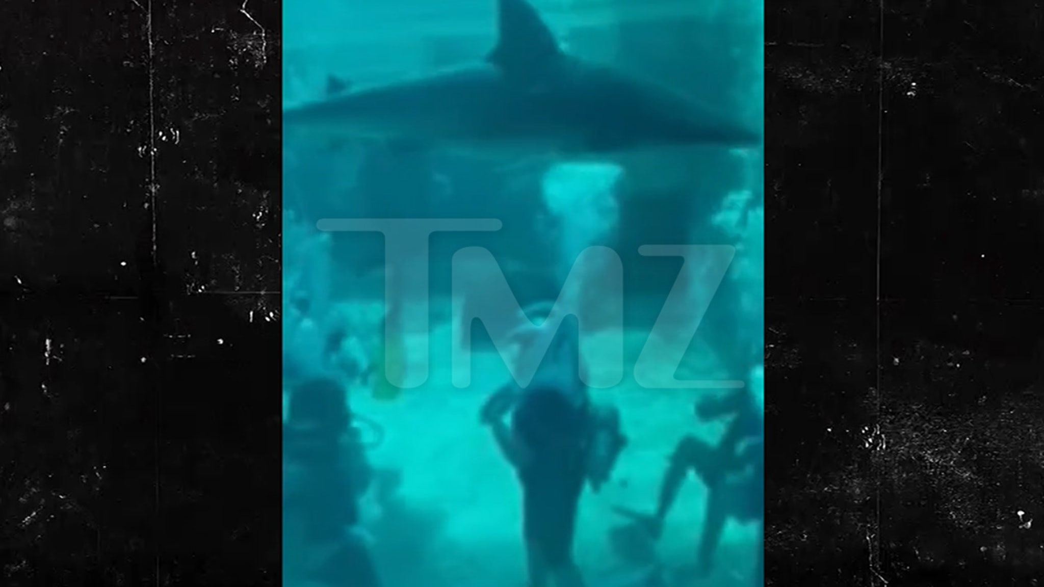Bahamas Shark Attack Video Shows Child Victim Screaming