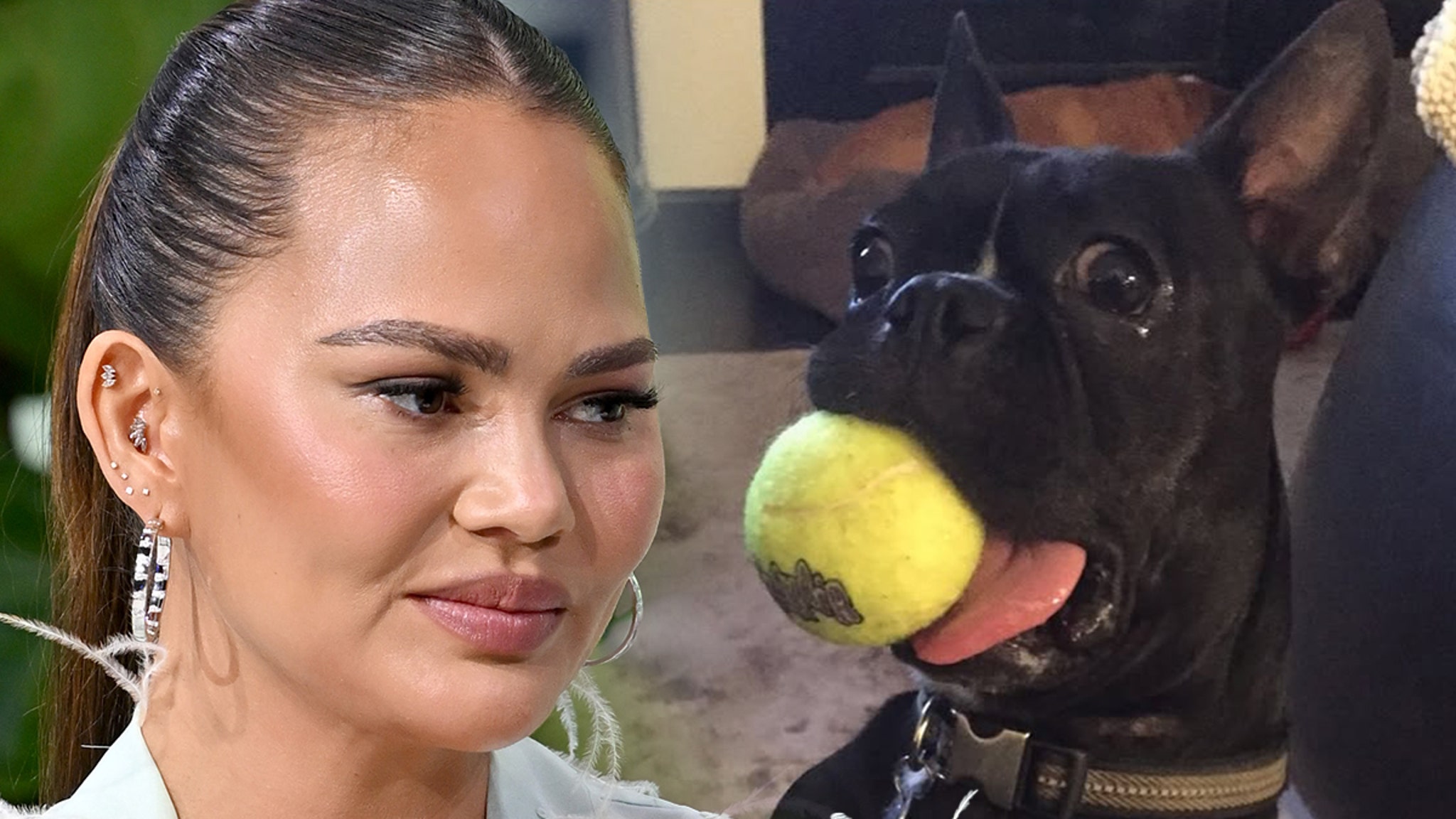 Chrissy Teigen Announces Death of Dog