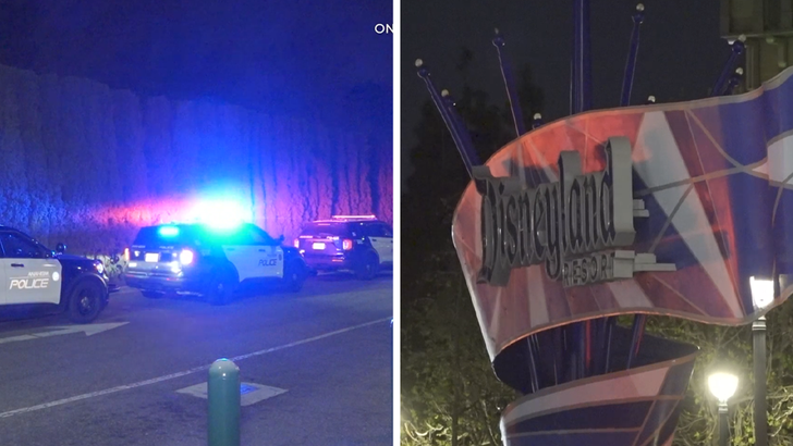 031226 disneyland swatted kal