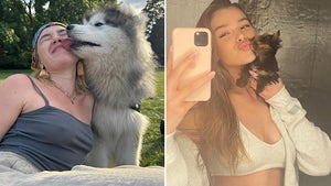 0826-Sloppy-Dog-Kisses-hero