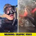 Homem filma as consequências do ataque de tubarão que lhe custou a perna na Austrália