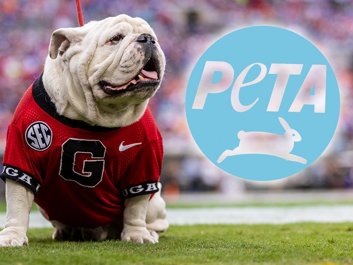 PETA Urges Georgia Bulldogs To Retire 'Uga' Live Mascot