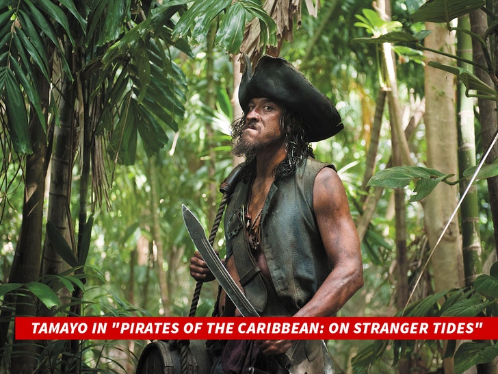 PIRATES OF THE CARIBBEAN ON FOREIGN SHORES by Tamayo Perry