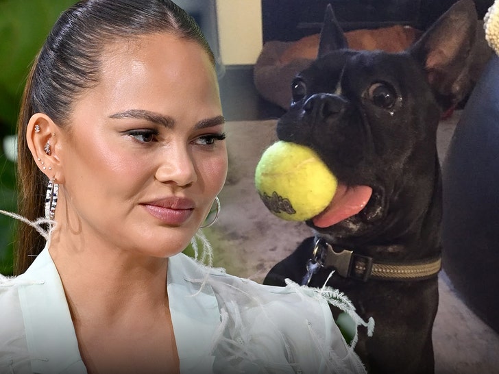 Chrissy Teigen meratapi kematian anjing