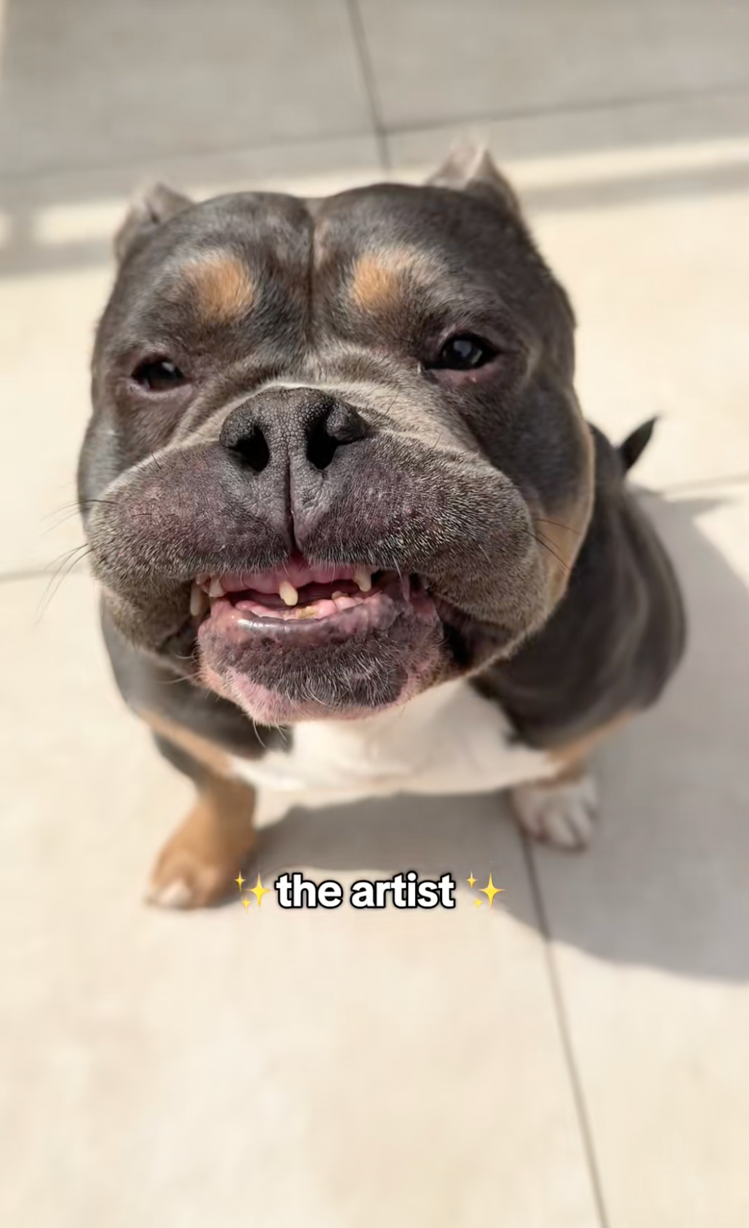 Screenshot 2025-12-25 at 5.41.15 AM