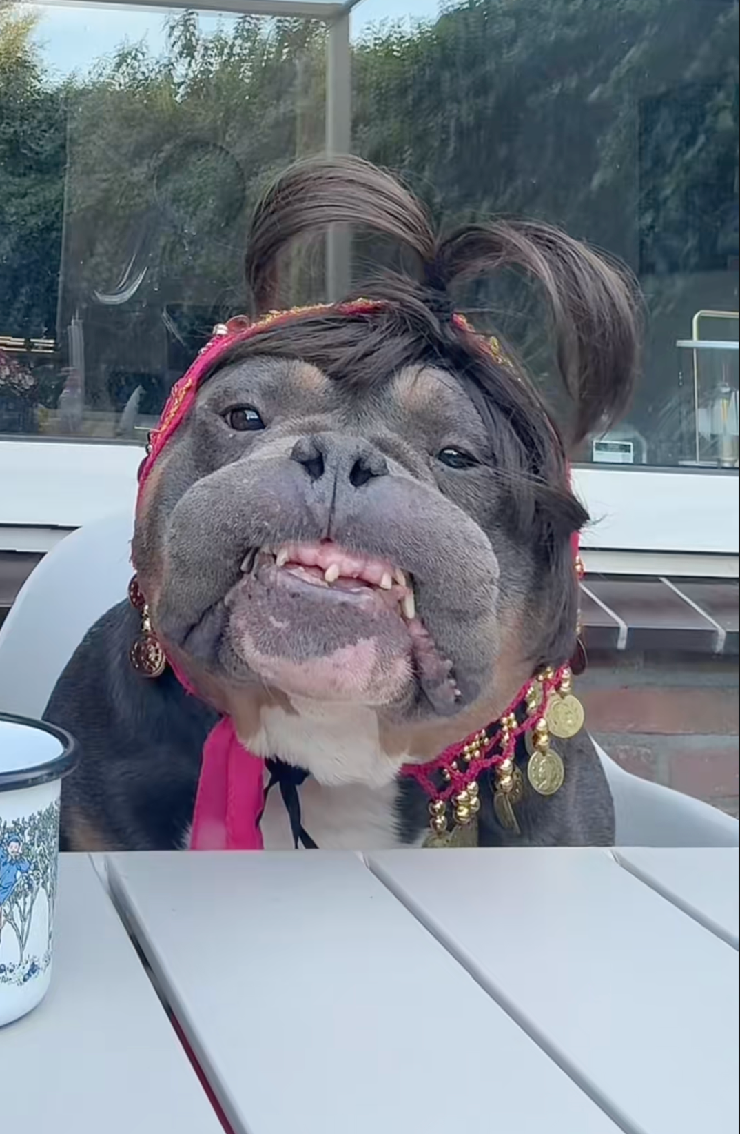 Screenshot 2025-12-25 at 5.38.34 AM