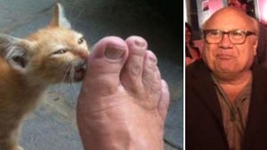 Danny DeVito -- My Troll Feet Are the Next Big Thing
