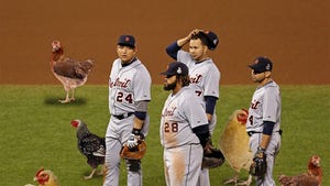 Detroit Tigers -- It's All About the Chicken This Year
