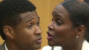 Usher vs. Tameka -- If You Won't See Me ... I'll See You In Court