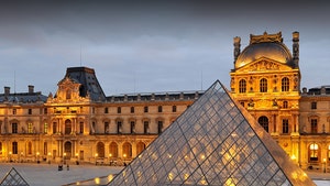 Louvre Museum Hit By Terrorist