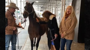 Horse Pees on Rosanna Scotto's Stilettos During Interview