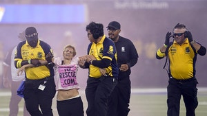 Protester Dragged Off Field For Interrupting Rams-Bills Game With Pink Flare