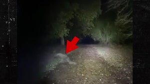 Dog-Walking Couple Sees Demonic Figure Scurry Across Path, Caught on Video