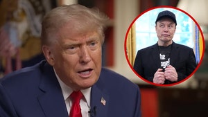 Donald Trump, Elon Musk
