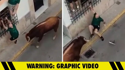 090825_bull_attack_kal