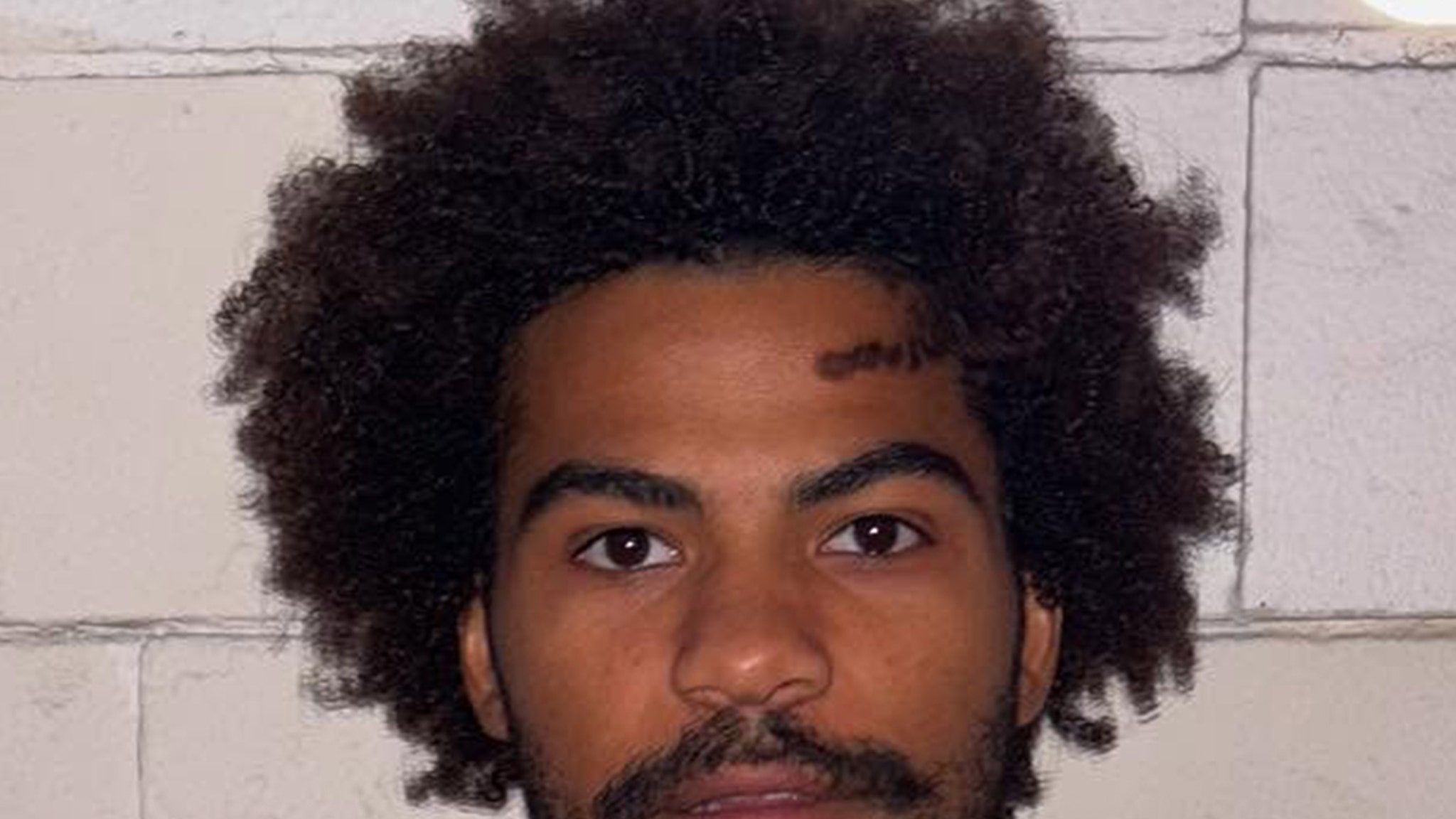 Station 19 Actor Busted for Property Vandalism!