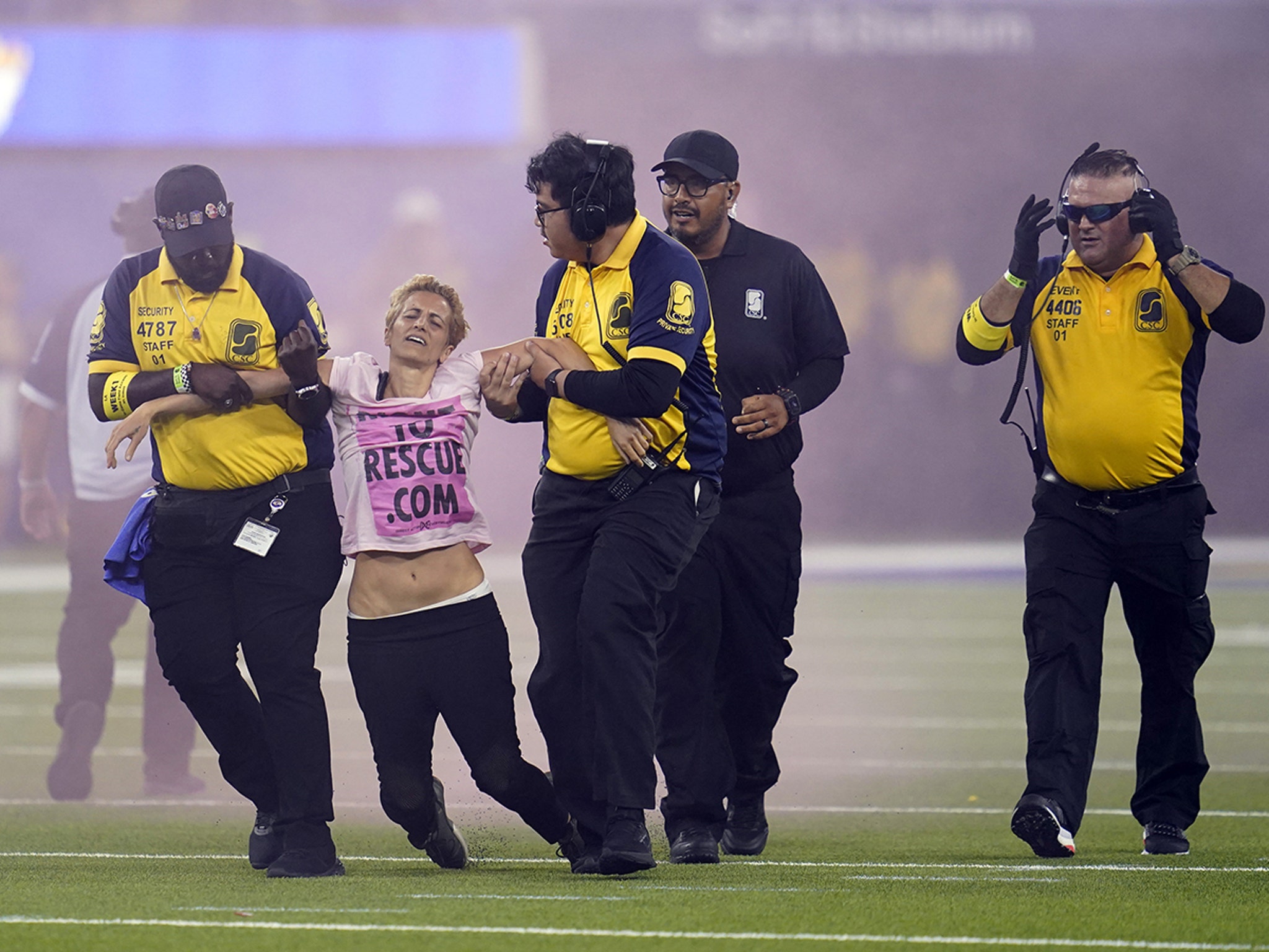 Protester Dragged Off Field For Interrupting Rams-Bills Game With Pink Flare