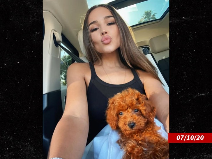 Olivia Culpo poodle