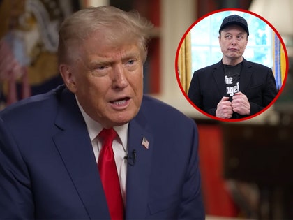 Donald Trump, Elon Musk
