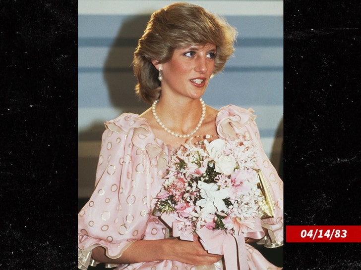 Princesa-diana-sub-gate-1