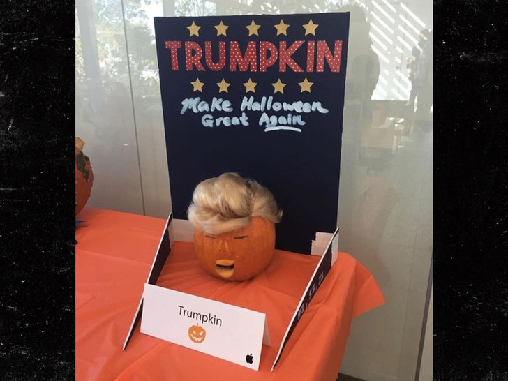 trumpkin House Oversight Committee Democrats