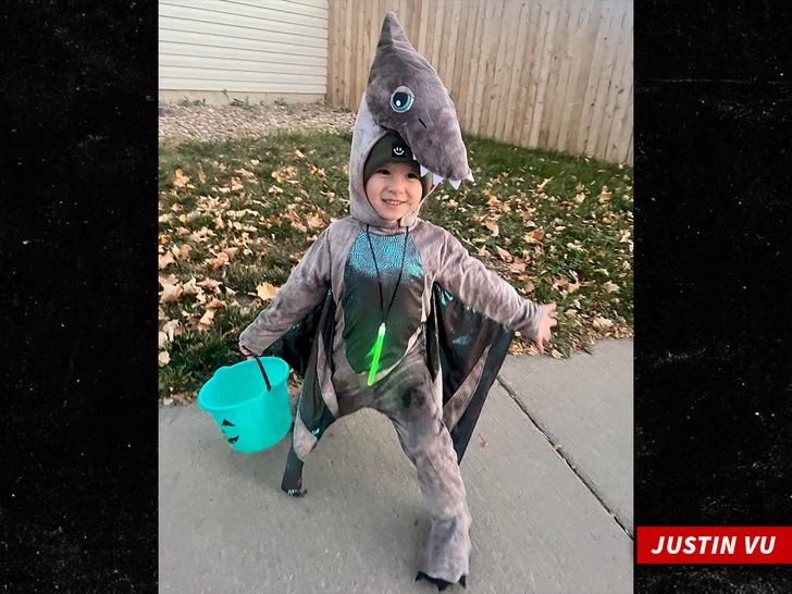 sub Justin Vu gofundme