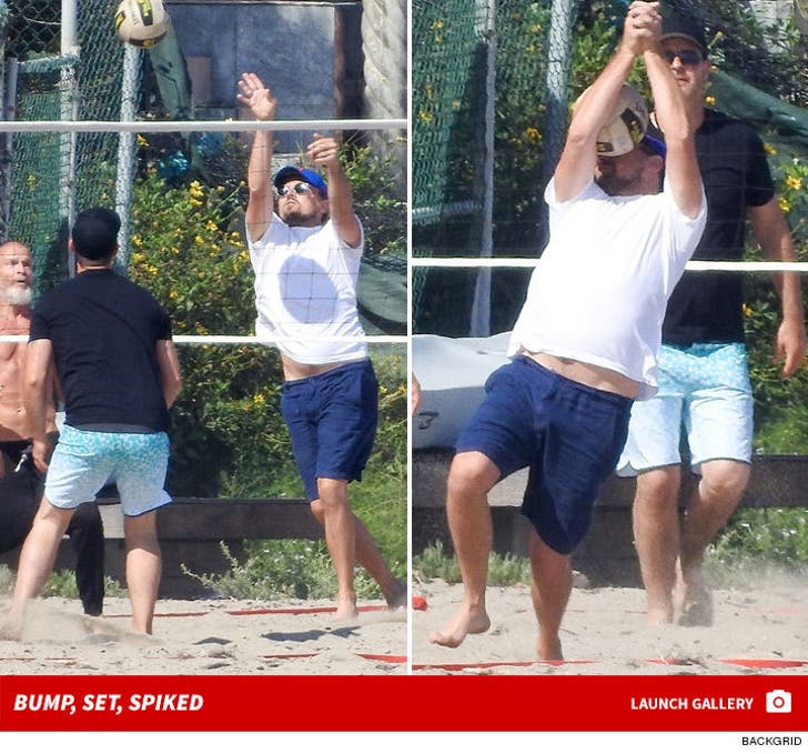 Leonardo DiCaprio Takes It in the Face During Beach Volleyball