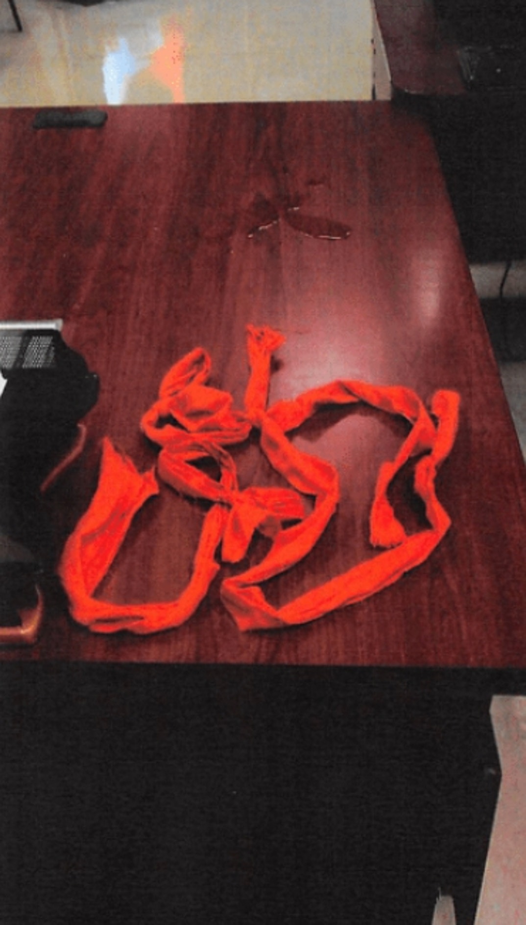 Jeffrey Epstein Lying Down Noose 8