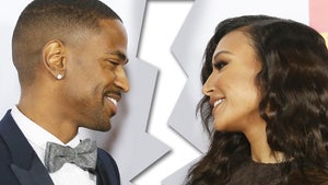 Big Sean to Naya Rivera -- Our Engagement's OFF, But I Didn't Jack Your Jewelry