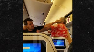 Fist Fight Erupts on Nippon Airways Flight (VIDEO)
