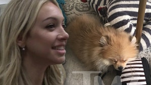 Corinne Olympios, New Owner of Adorable Mini Pooch
