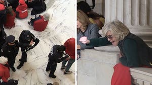 Jane Fonda Not Handcuffed but Cheers Protesters Who Did Get Arrested