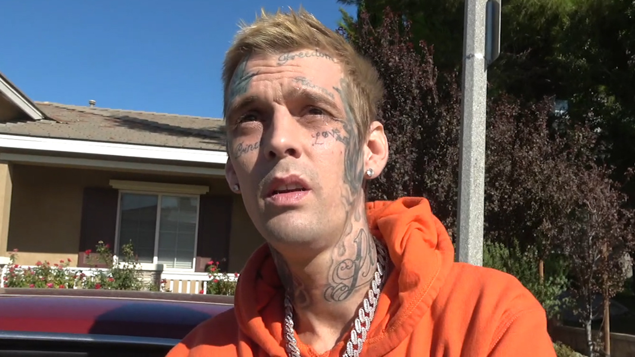 Aaron Carter Prepared to Sue GF for Defamation, Compares Himself to Johnny Depp