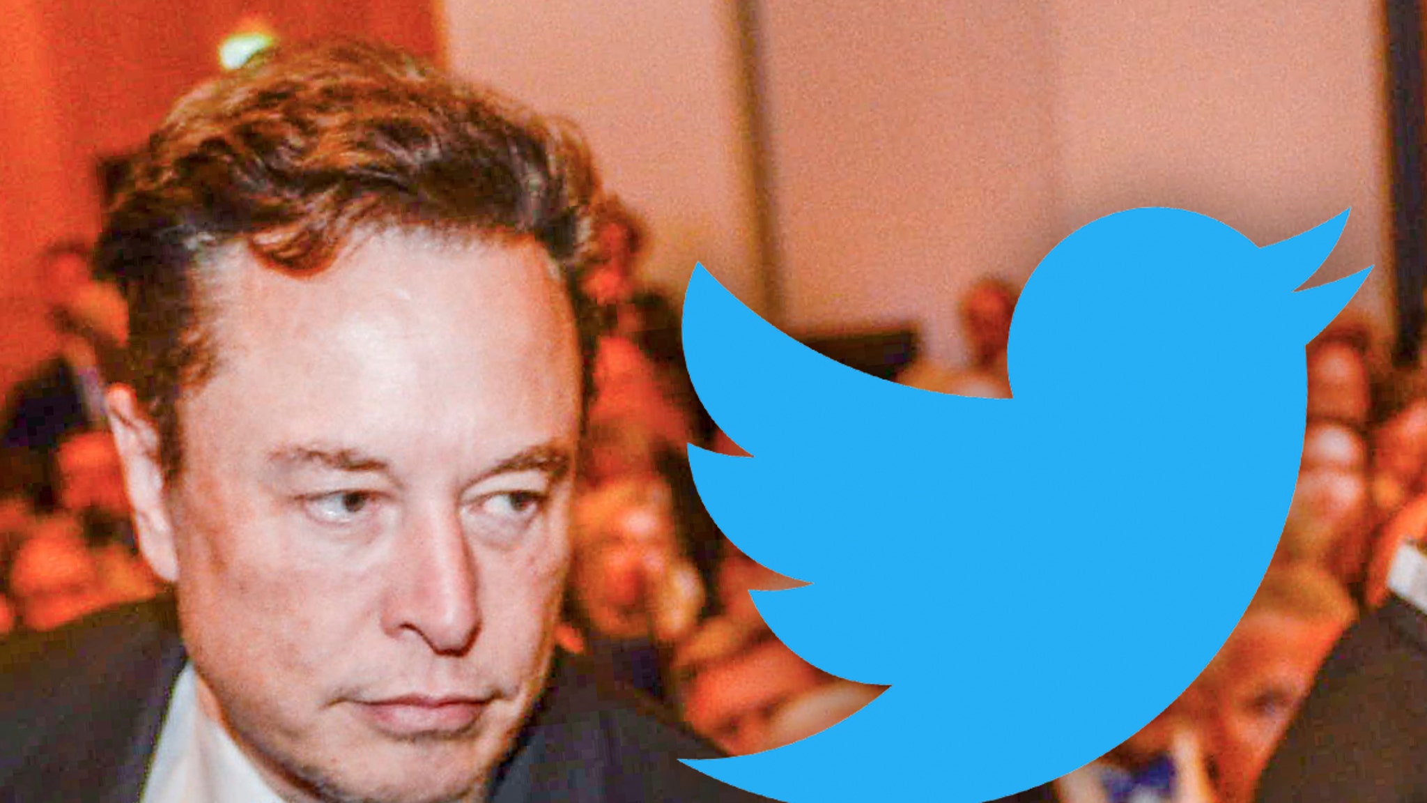 Elon Musk Offers to Step Down as Twitter CEO in New Poll
