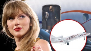 Taylor Swift Sells Her Private Jet, New Owner Linked to CarShield
