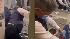 013026_flight_crew_toilets_primary