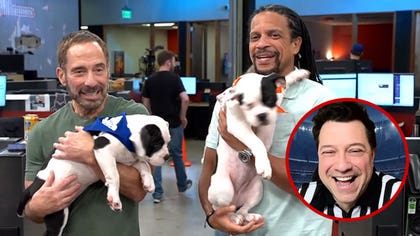 020626_puppy_bowl_live_kal