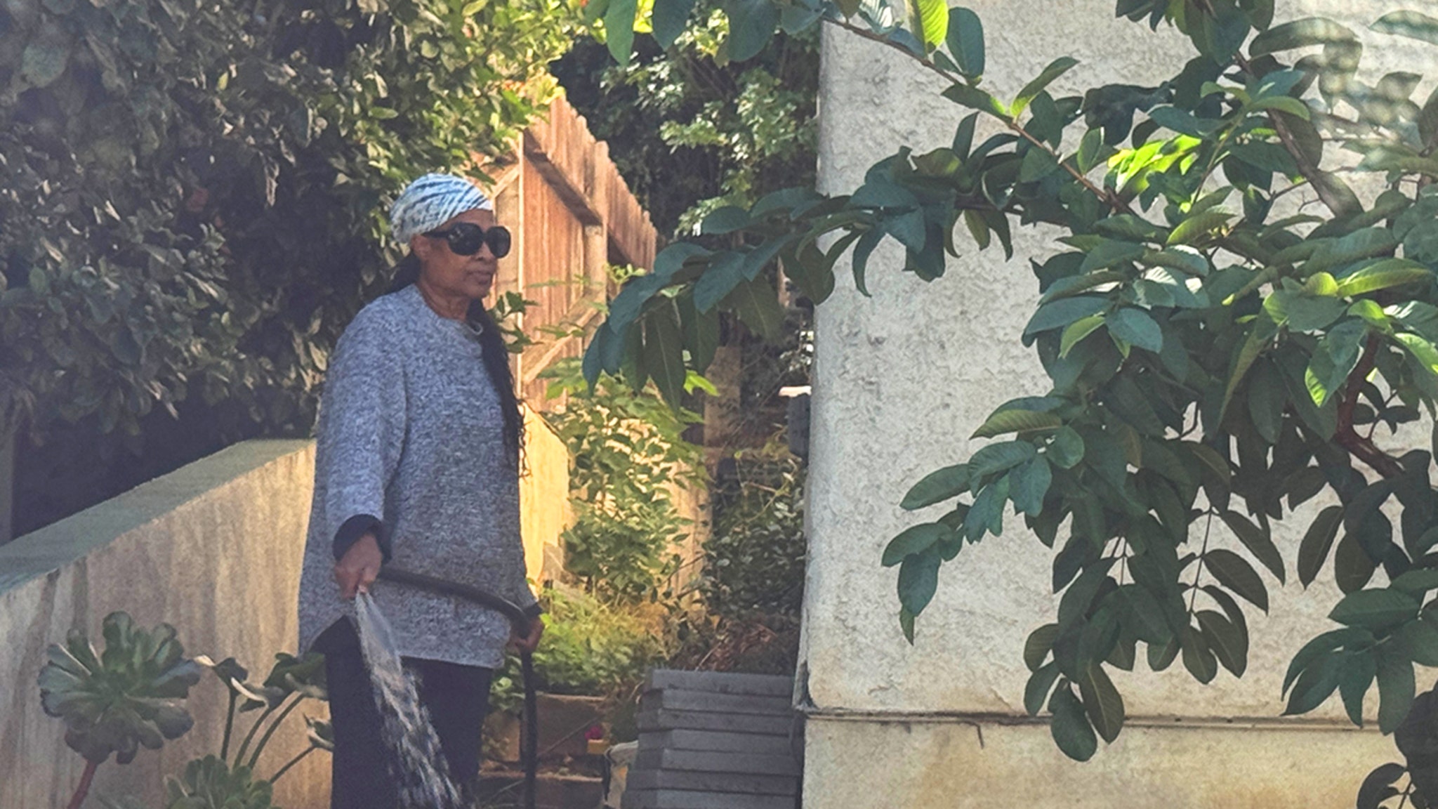 Stevie Wonder's Ex-Fiancée Carmen Efferson Spotted Gardening at Home Amid Eviction Battle