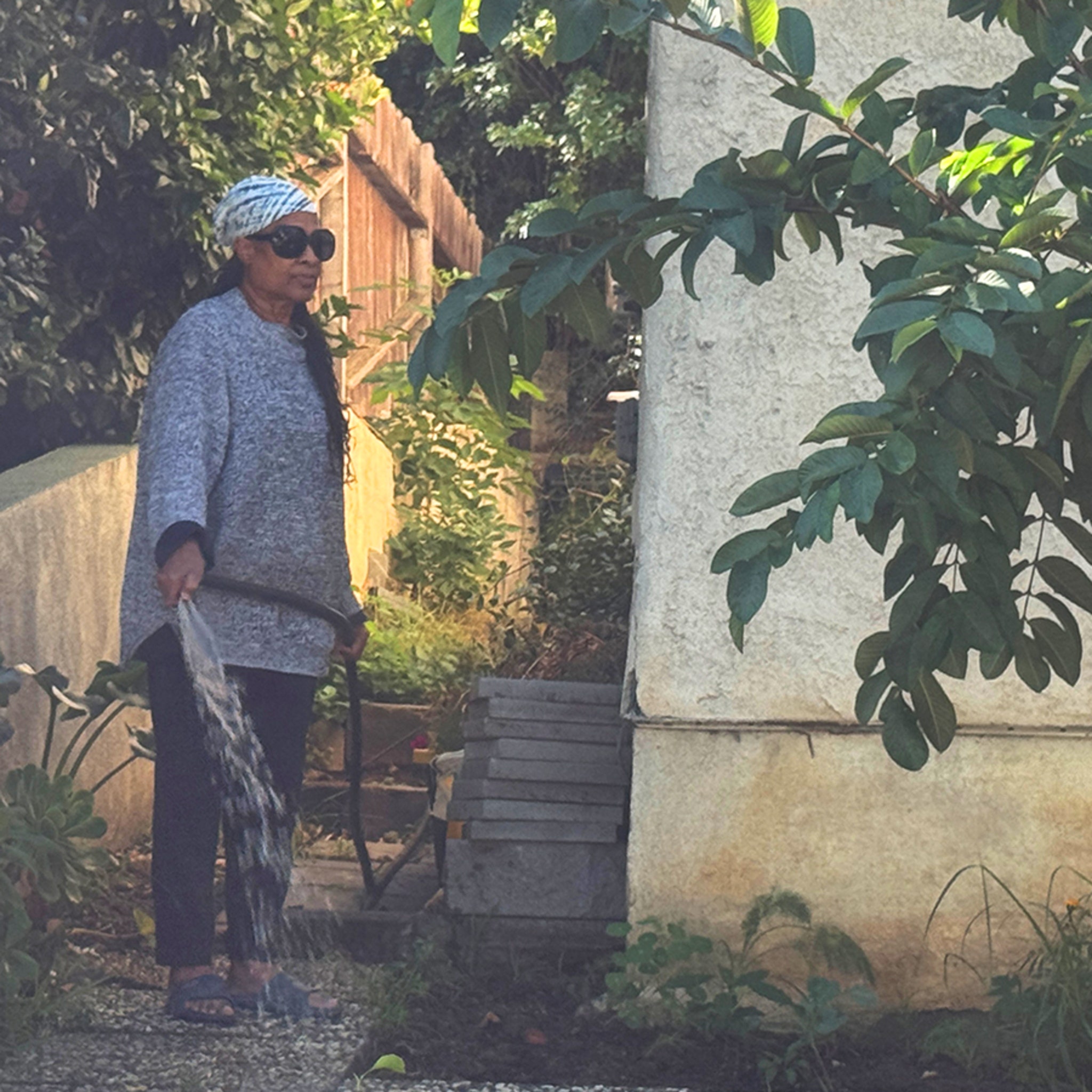 Stevie Wonder's Ex-Fiancée Carmen Efferson Spotted Gardening at Home Amid Eviction Battle