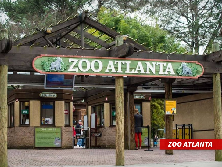 zoo atlanta