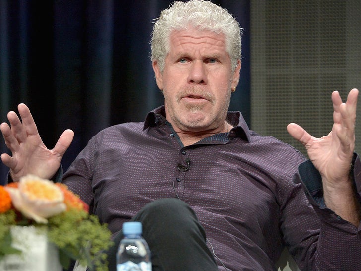 Ron Perlman Through The Years