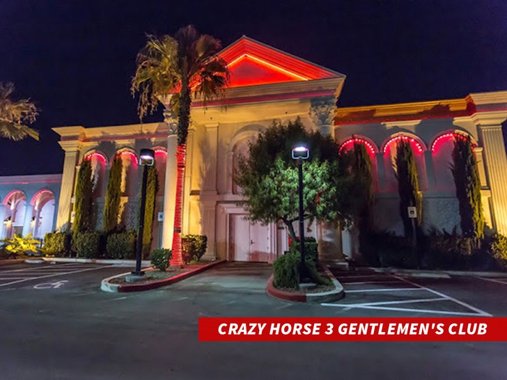 Crazy Horse 3 Gentlemen's Club
