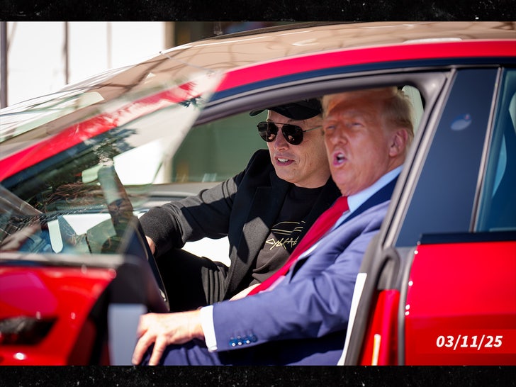 elon musk donald trump tesla sub getty deslizar